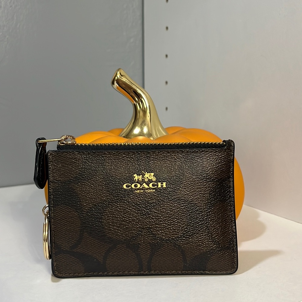 Coach Mini Skinny Id Case In Colorblock Signature Canvas